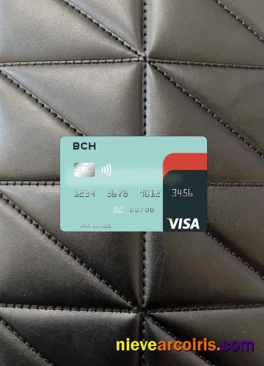 Angola Banco Comercial do Huambo visa card photolook